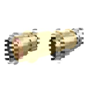 1 in. PEX Expansion Brass PEX Adapter